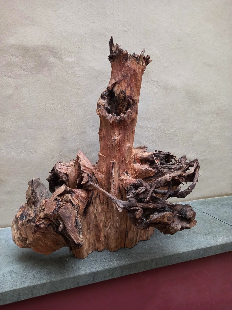 Stacks Image 885