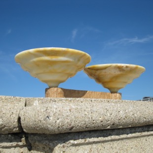 Campo di Siena - Terrazza Mascagni Livorno 2