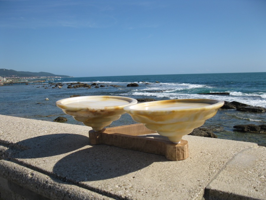 Campo di Siena Terrazza Mascagni Livorno 4