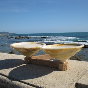 Campo di Siena Terrazza Mascagni Livorno 4